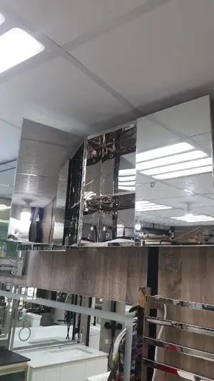 Stainless Cabinet Mirror