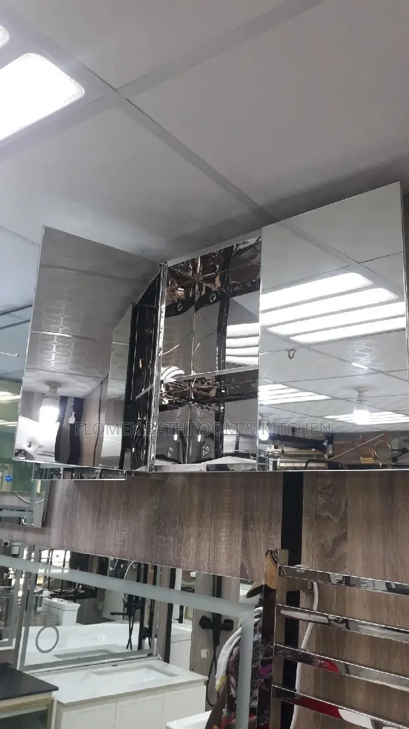Stainless Cabinet Mirror