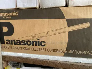 Panasonic Bom Mic