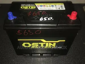 Tokunbo Oil Pump / Fuel Pump for Cars