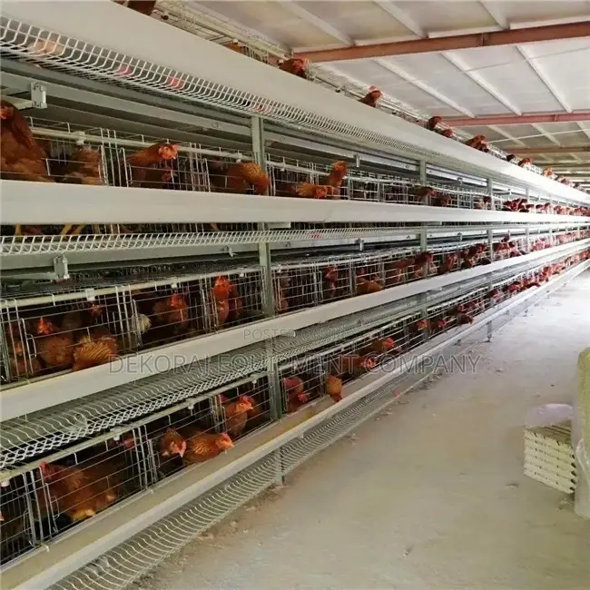 160 Layers Fully Automated Imported Cage With Remote