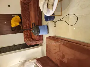 Upholstery/Sofa Cleaners
