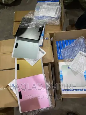 Electronic Personal Scale