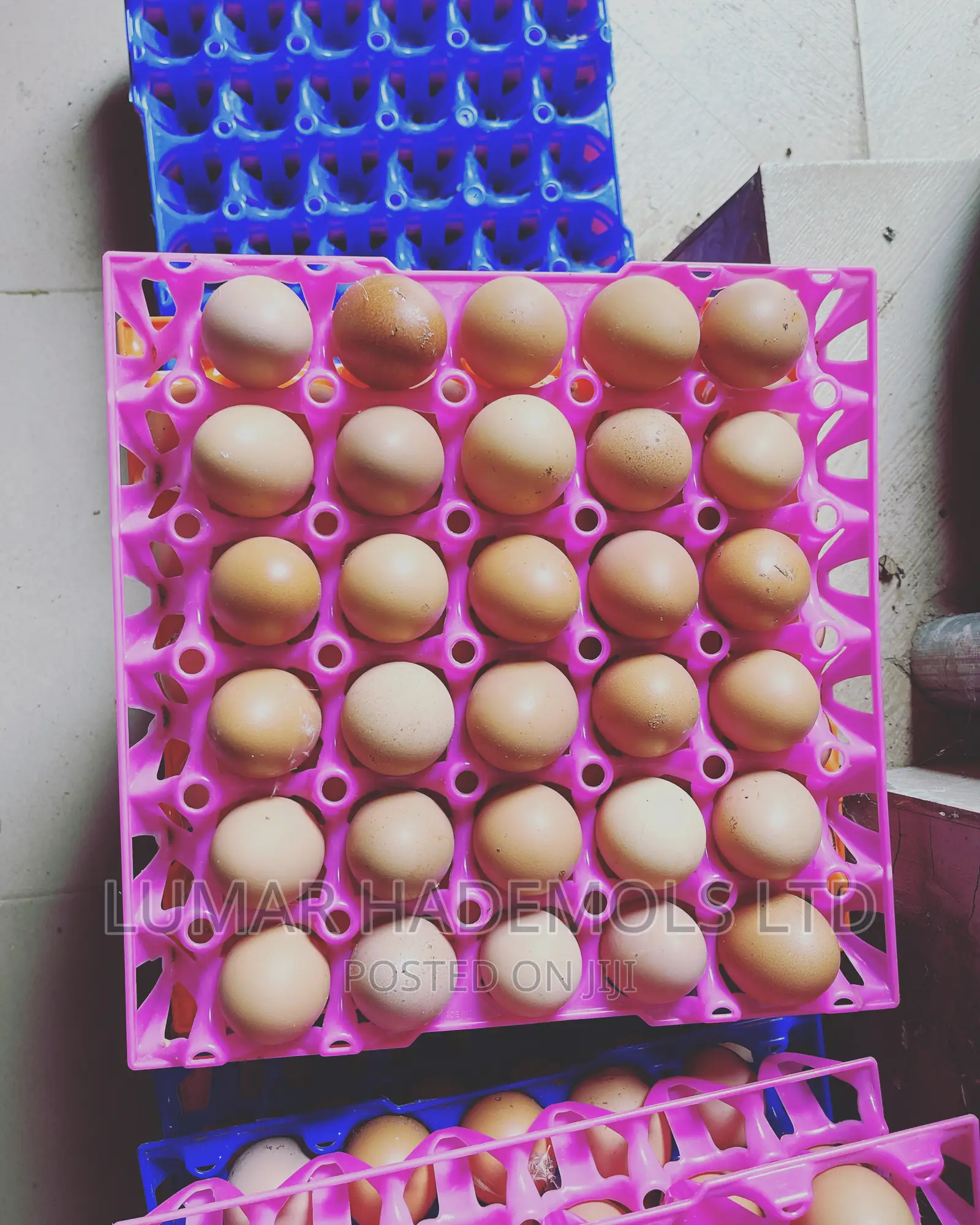Egg In Ikorodu For Sale Large Quantities