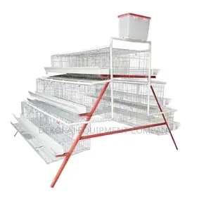 Budget-friendly Brilliance: 96-birds Imported Layers Cage”