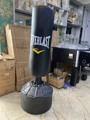 Everlast Punching Bag