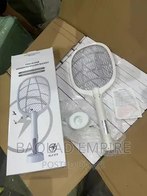 2 in 1 Mosquito Racket Killer/Swatter