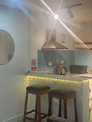 Furnished 1bdrm Block of Flats in Maitama for rent