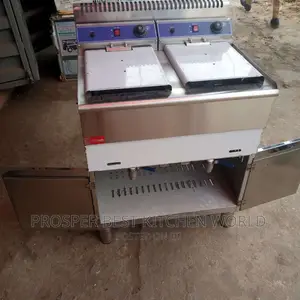 Double Industrial Electric Free Standing Fryer 40 Liters