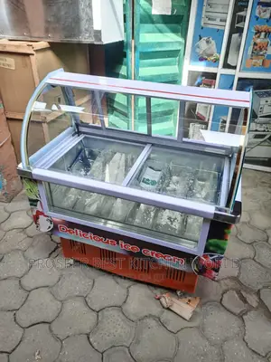 10 Plates Industrial Ice Cream Freezer