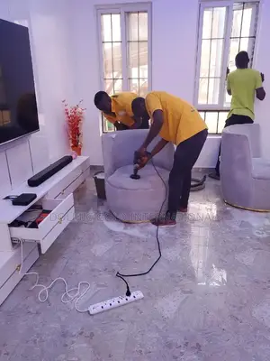 Sofa Cleaning/Revamping Services