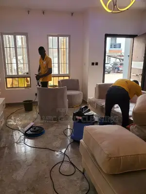Couch Cleaning and Revamping