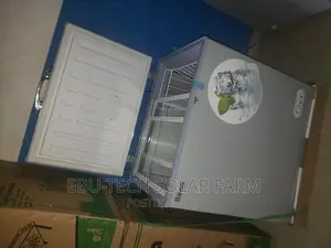 Bona Solar Freezer 118L