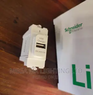 Schneider Grid Module White USB Charger