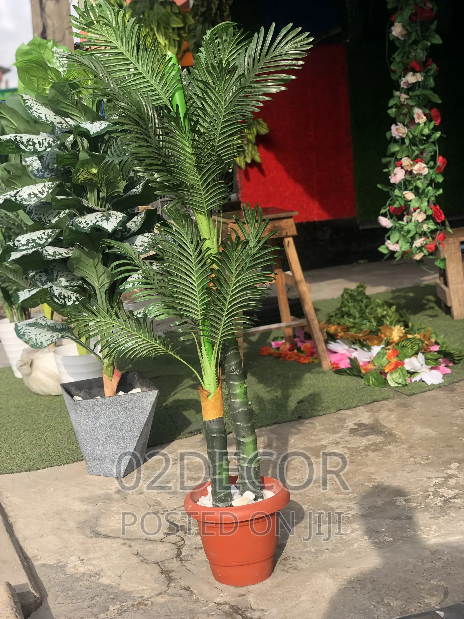Palm Plant and Pot