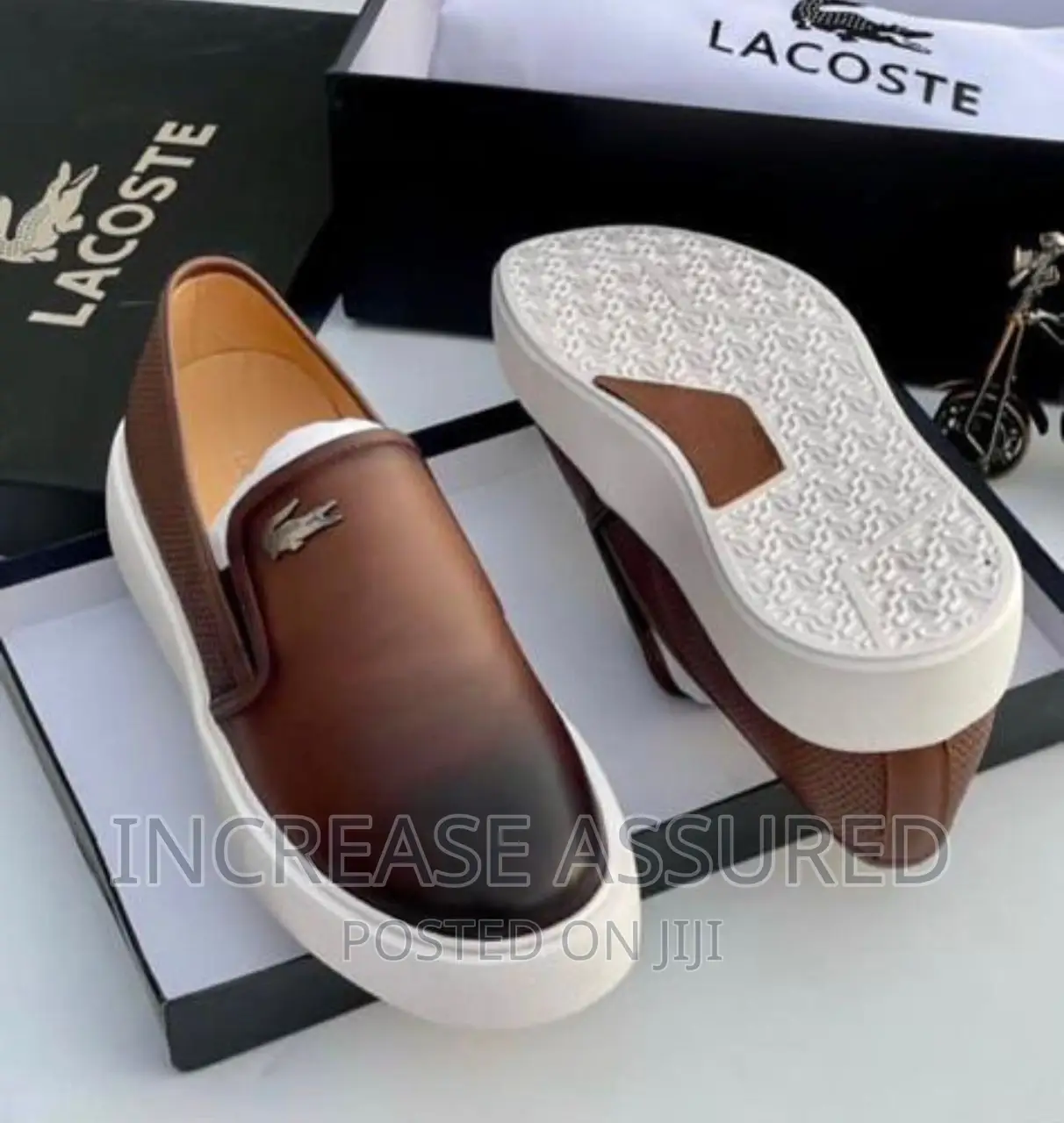 Luxury Lacoste Leather Shoes.