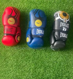 Everlast Boxing Gloves