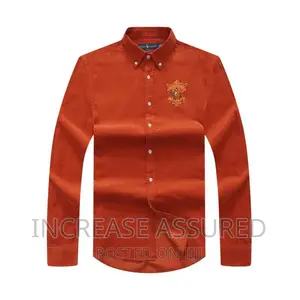 Luxury Polo Raph Lauren Long Sleeves