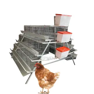 Upgrade Your Farm With 96-bird Premium Imported Cages