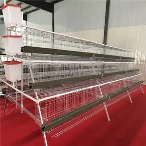 Nigeria’S Best Cage for Layer Farming(96 Capacity Imported