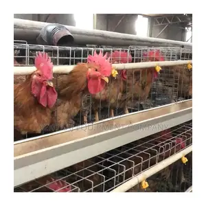 Economical, Durable Imported 96 Layers Cage in NG!