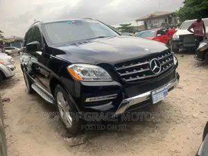 Mercedes-Benz M Class 2015 Black