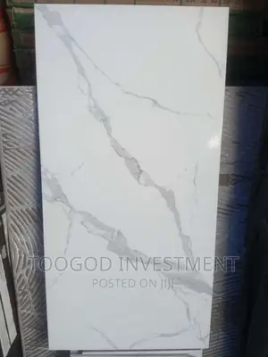 40*80 Floor Tiles