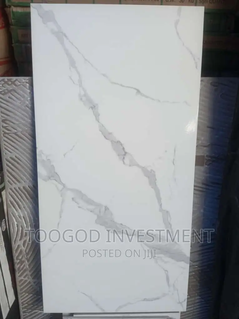 40*80 Floor Tiles