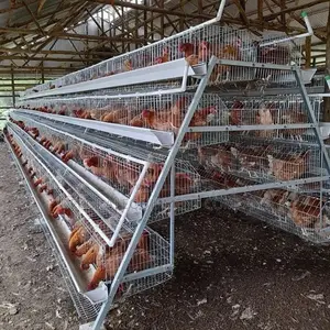 Economic Reliable 160 Layers Cage: Proven Quality”