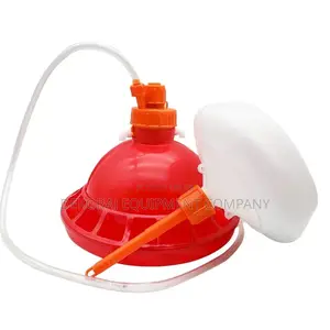 High-Quality Bell Drinker: Competitive Prices!”
