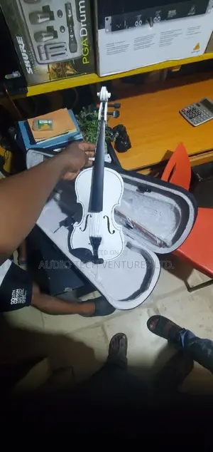 Professional Violin 4 by 4