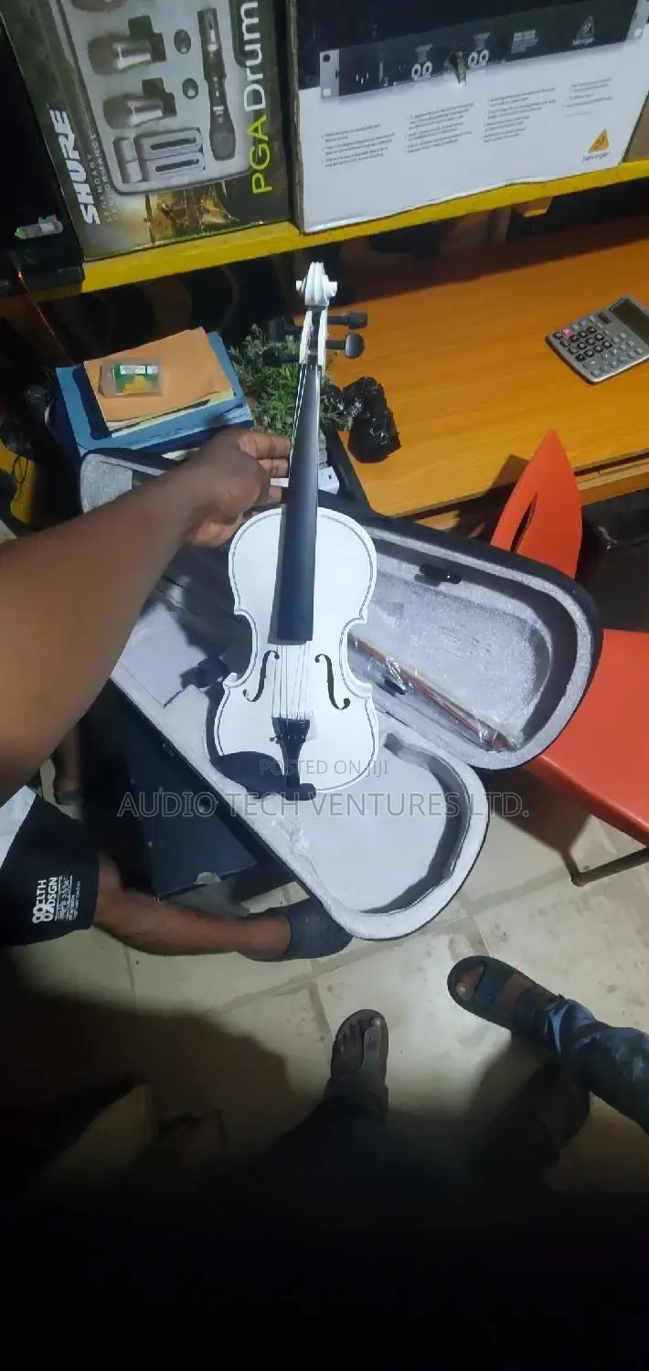 Professional Violin 4 by 4