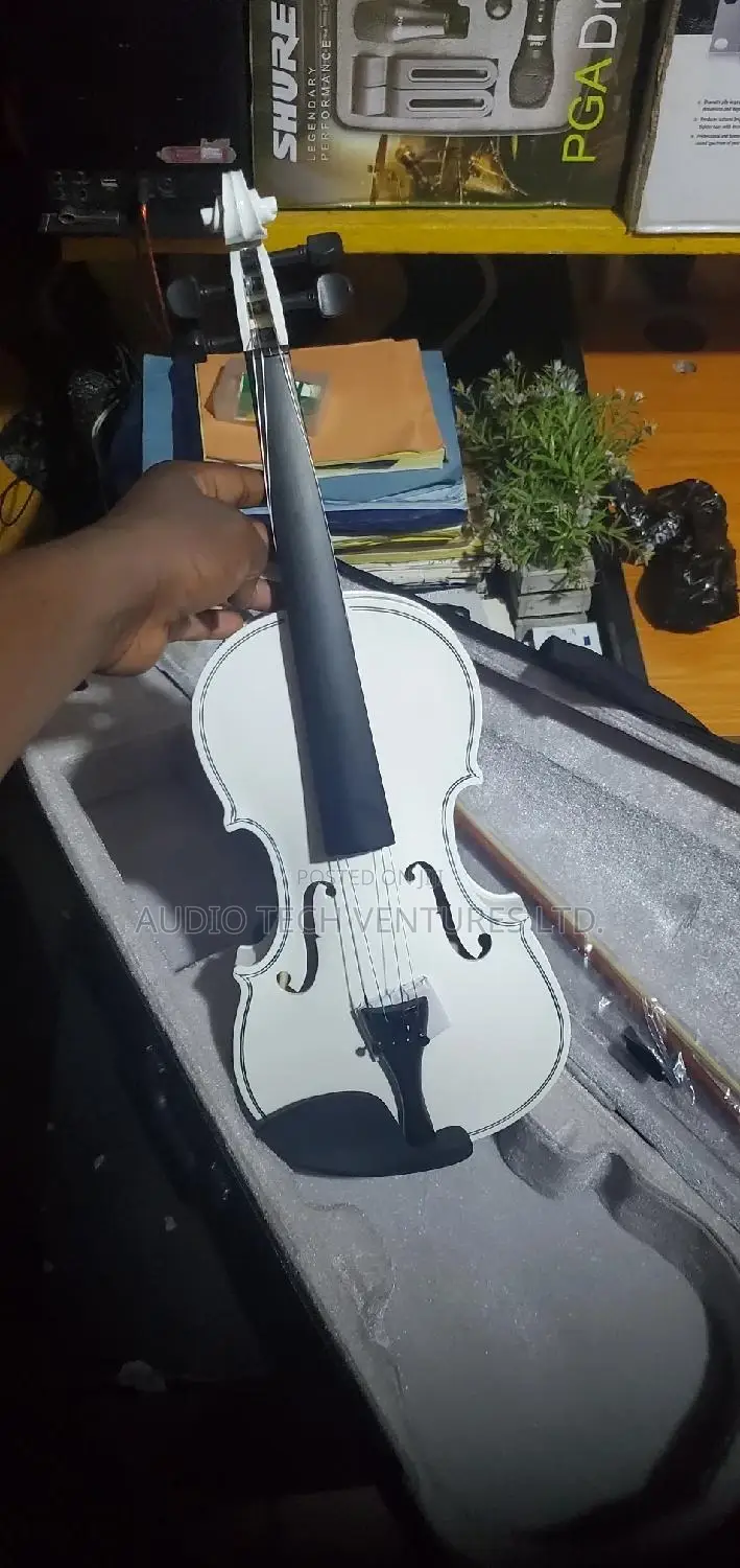 Professional Violin 4 by 4