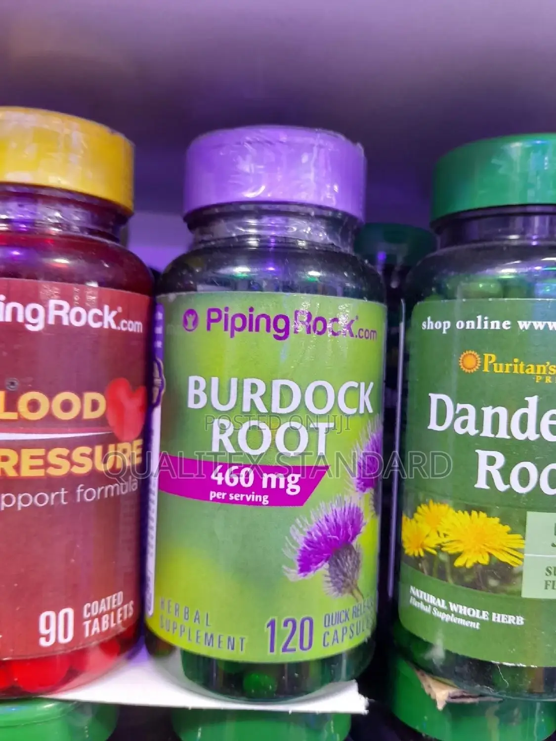 Pipping Rock Burdock Root 120 Capsule