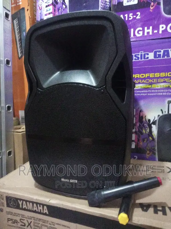Big 15" Inch High Power Battery Bluetooth Wireless Speaker