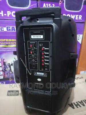 Big 15" Inch High Power Battery Bluetooth Wireless Speaker