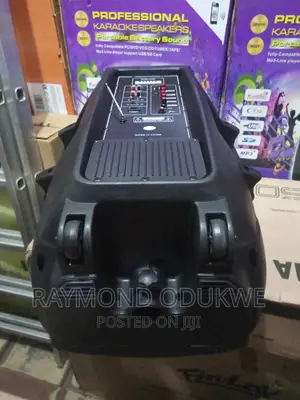 Big 15" Inch High Power Battery Bluetooth Wireless Speaker