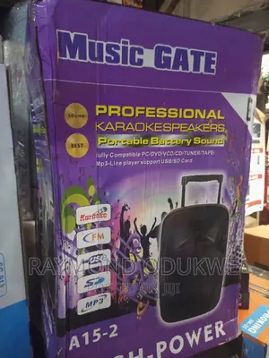 Big 15" Inch High Power Battery Bluetooth Wireless Speaker