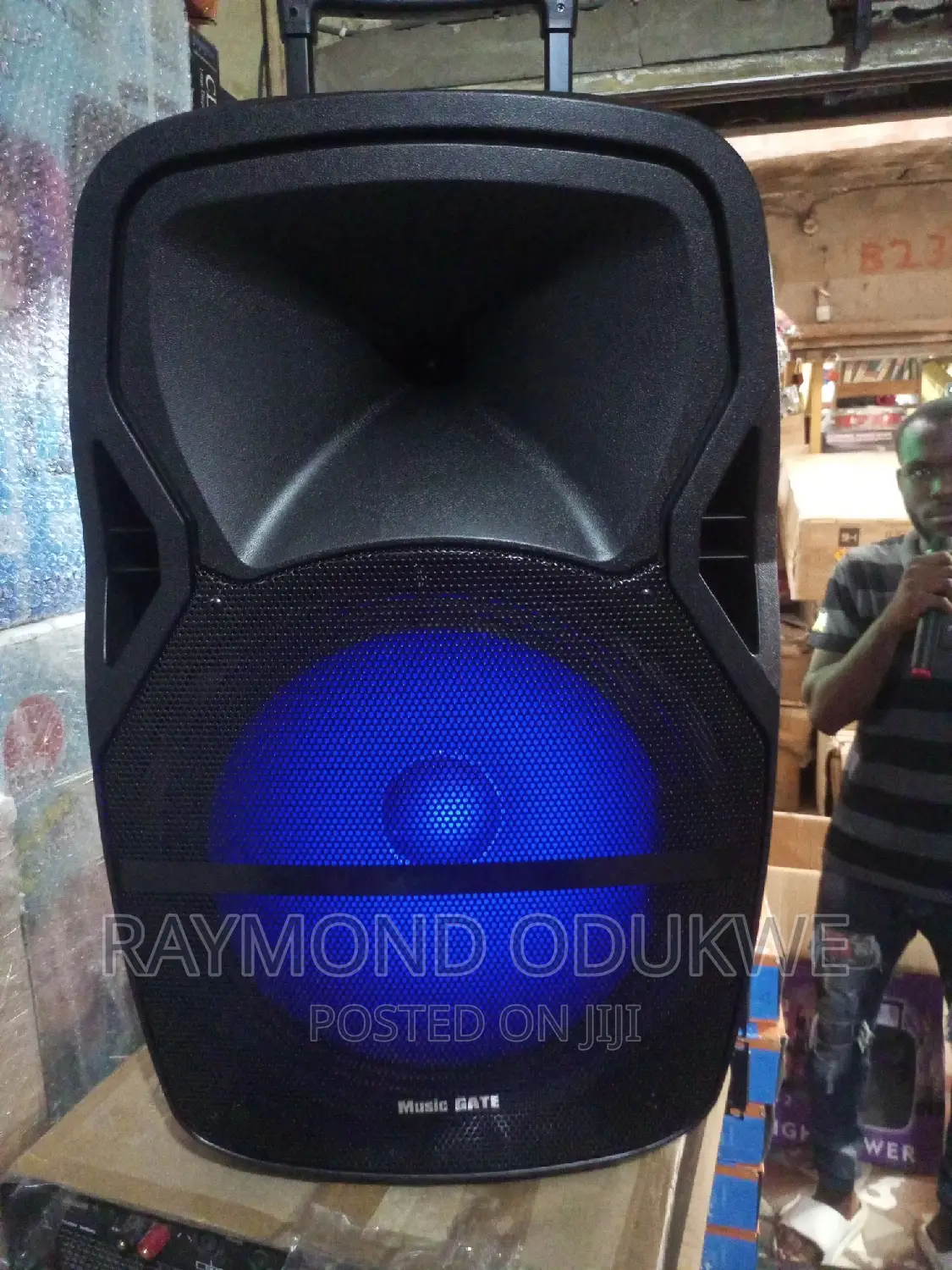 Big 15" Inch High Power Battery Bluetooth Wireless Speaker