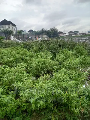 1⁄2 Plot of Land Off Eastern by Pass Ogbunabali Ph