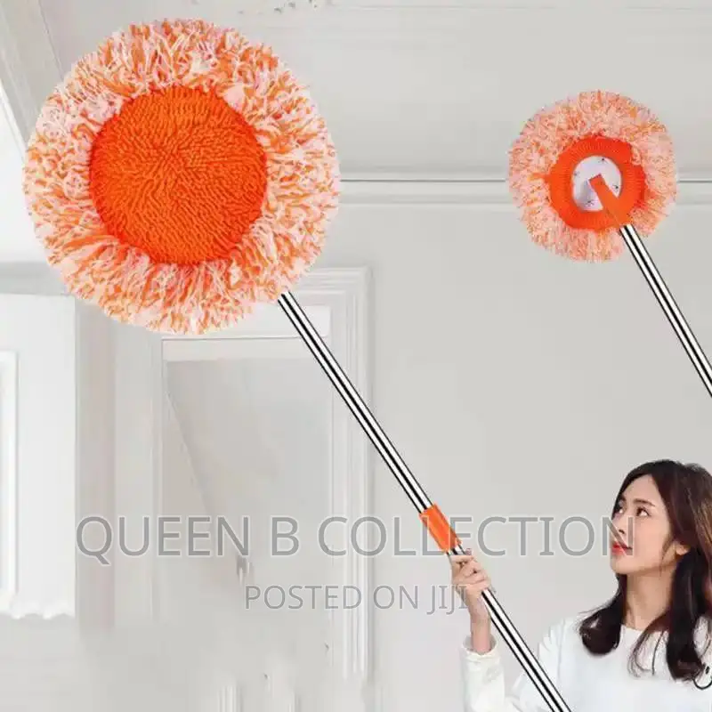 Dust Removal Mop.