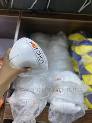 Hotshot Volleyball Ball