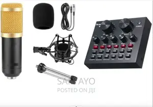 Condenser Microphone + V8 Sound Card