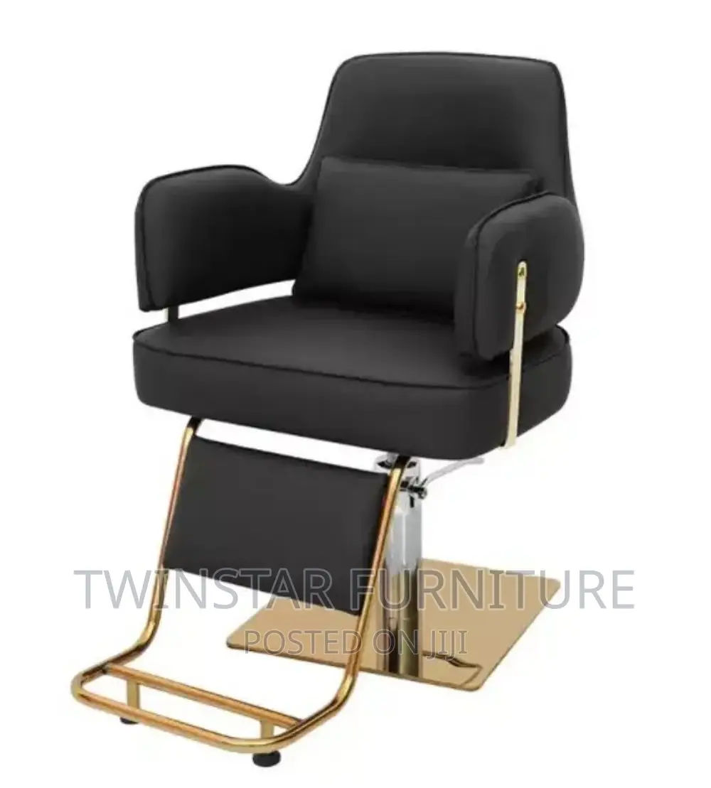 Modern Luxury Saloon Chairs