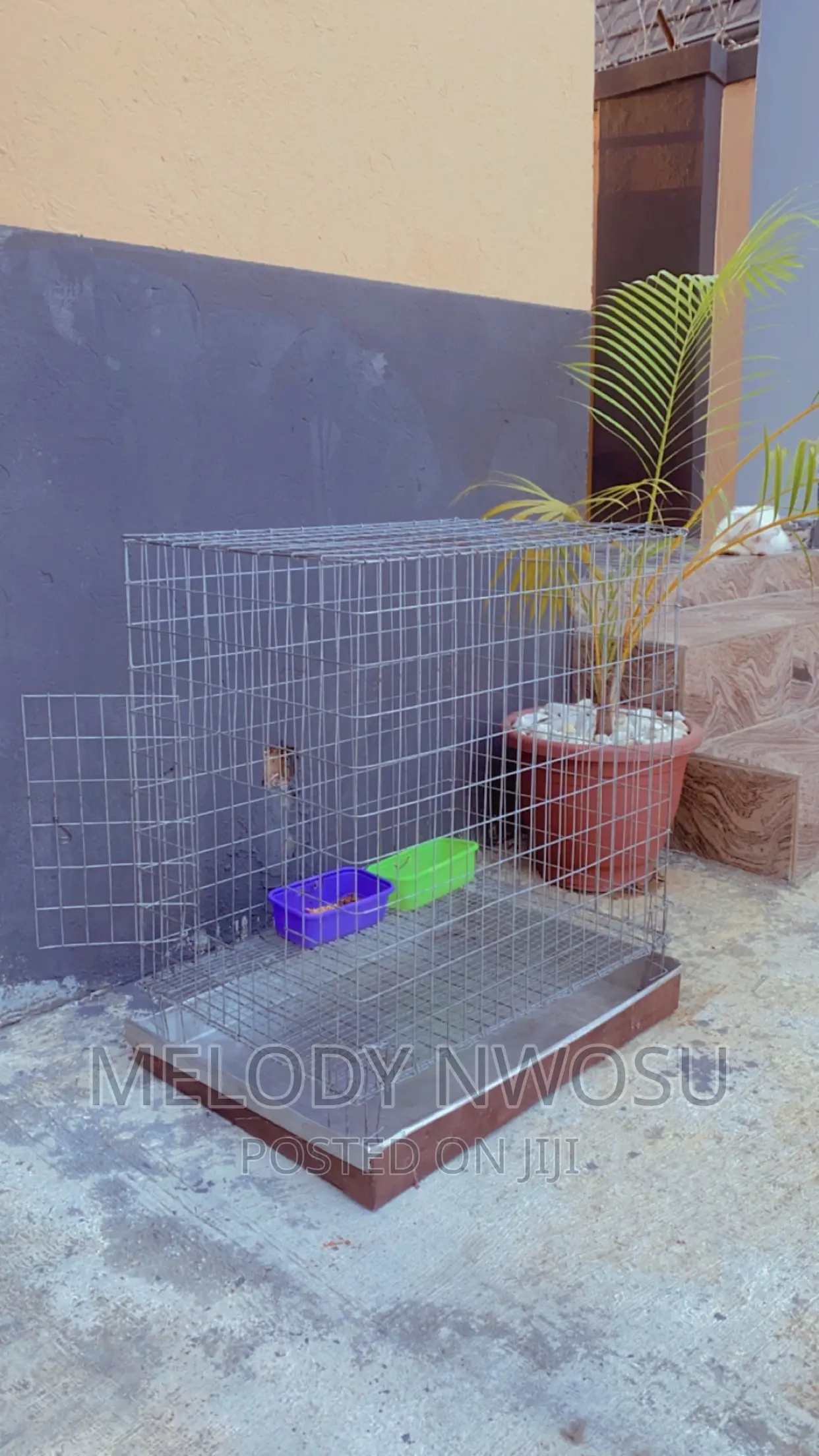 Dog Cages Available for Sale