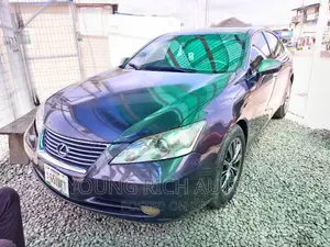 Lexus ES 350 2009 Gray