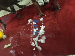 The Best Rug and Upholstery Cleaning Servicesss