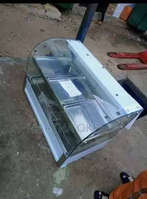 Foreign Food Warmer