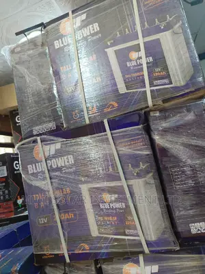220 Arms Blue Power Tubular Battery