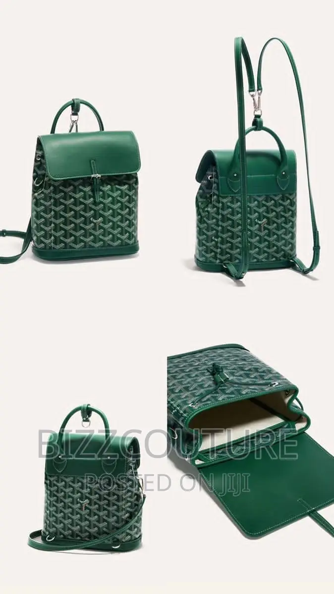 Original Goyard Backpack Available in Store
